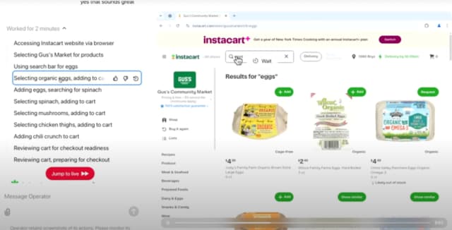 OpenAI's Operator Agent Shows Promise and Limitations in Online Grocery Shopping Tests