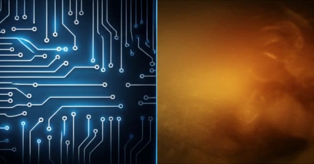 A Leica M11-P camera next to a Polaroid, symbolizing the C2PA digital vs. analog chemical solutions for AI image verification.